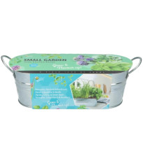 Buzzy - Okenná minizáhradka Kuchynské bylinky - Pieterpik - 1 ks