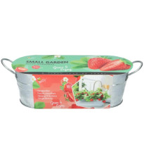 Buzzy - Okenná minizáhradka na pestovanie jahôd - Pieterpik - 1 ks