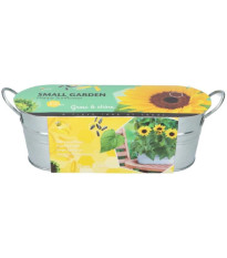 Buzzy - Okenná minizáhradka Slnečnica - Pieterpik - 1 ks