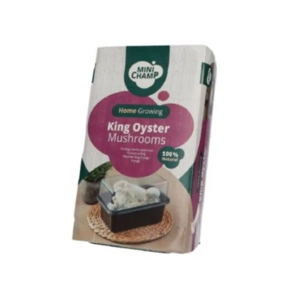 Mini Champ - súprava na domáce pestovanie hlivy kráľovskej - Pleurotus eryngii - sadba - 1 ks