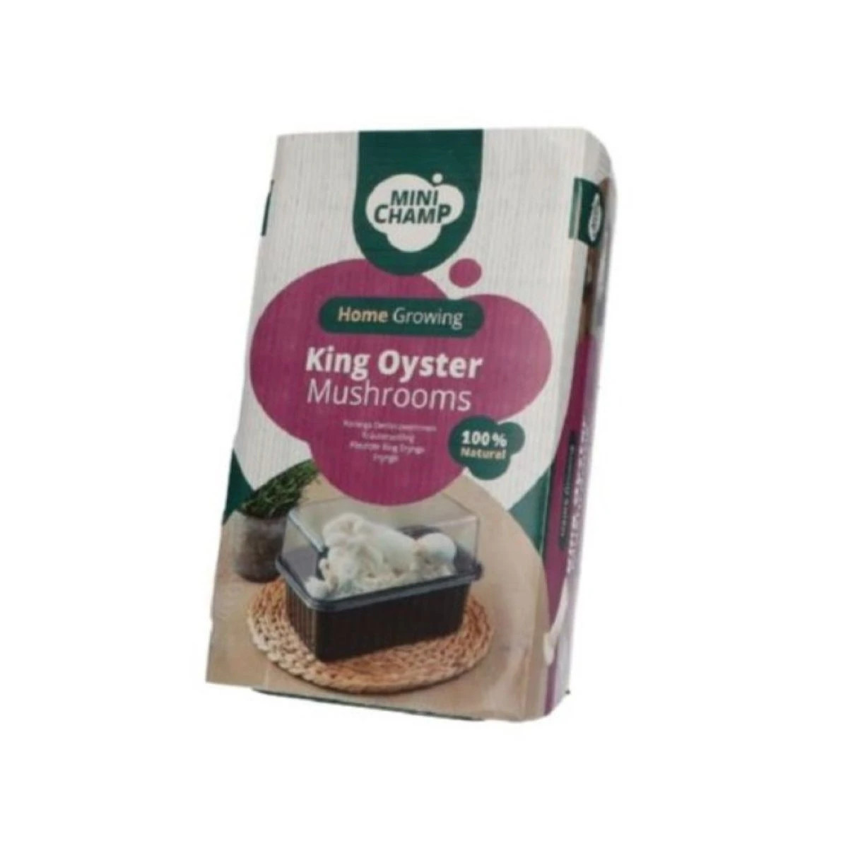 Mini Champ - súprava na domáce pestovanie hlivy kráľovskej - Pleurotus eryngii - sadba - 1 ks