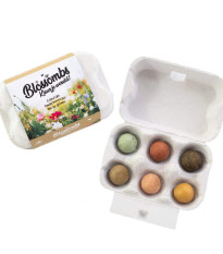Semienkové bomby - darčekový box na vajíčka - Blossombs - 6 guliek - 1 balenie