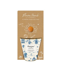 Pestovateľský set - Grow kit - Holandský mix - Blossombs - 1 ks