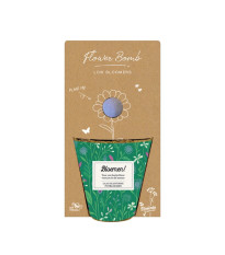 Pestovateľský set - Grow kit - nízkorastúca kvetinová zmes - Blossombs - 1 ks