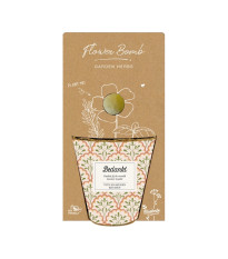 Darčekový set - Grow kit - zmes na pestovanie byliniek - Blossombs - 1 ks