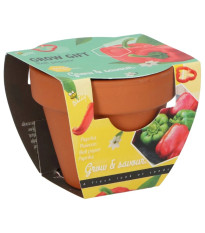 Buzzy Grow Gifts - Mini sada na pestovanie papriky - Pieterpik - 1 ks