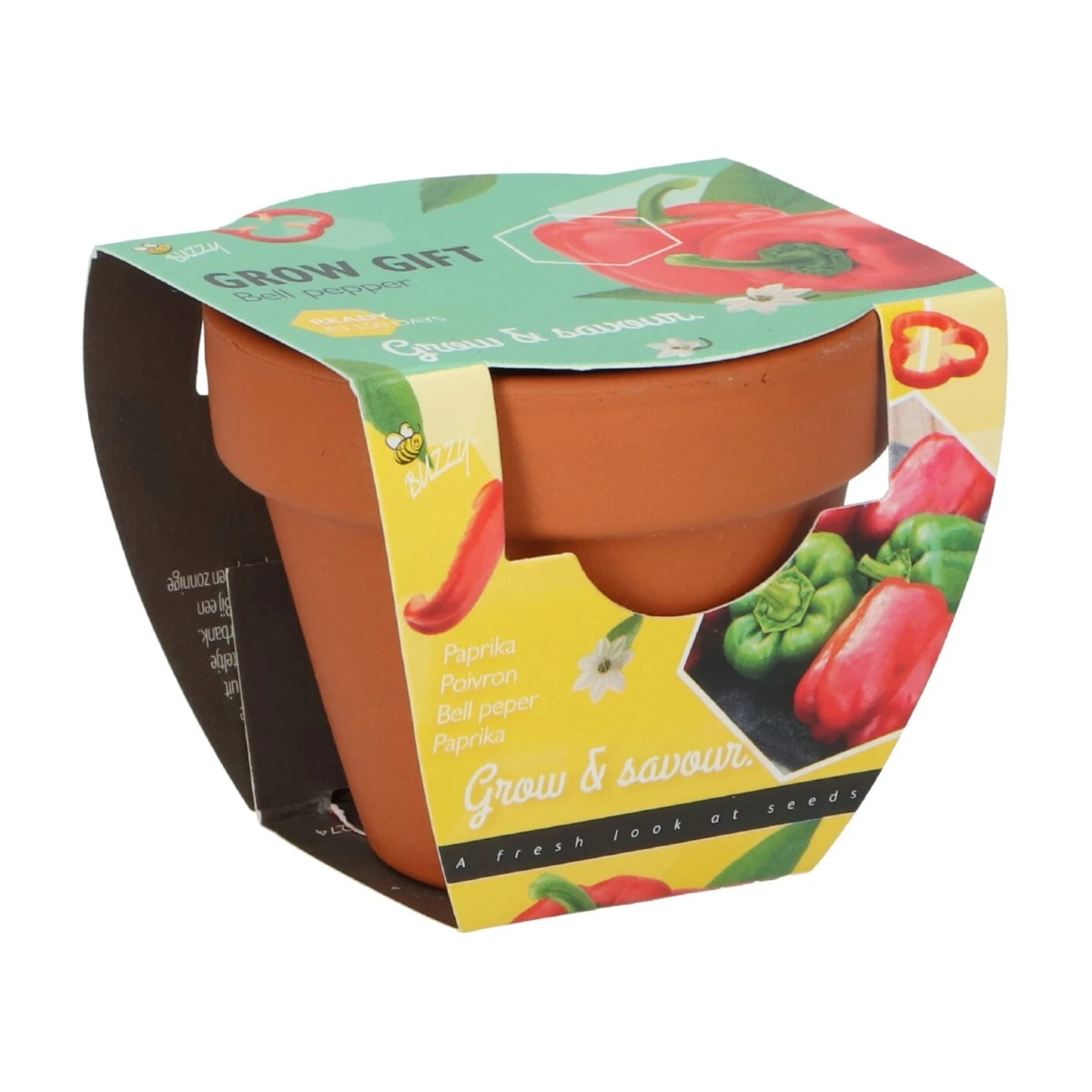 Buzzy Grow Gifts - Mini sada na pestovanie papriky - Pieterpik - 1 ks