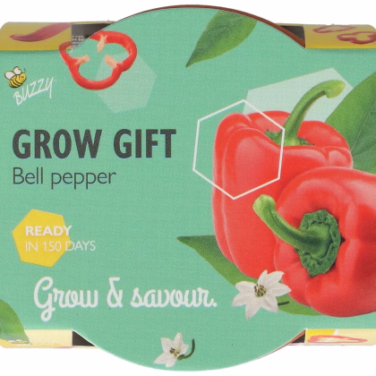 Buzzy Grow Gifts - Mini sada na pestovanie papriky - Pieterpik - 1 ks