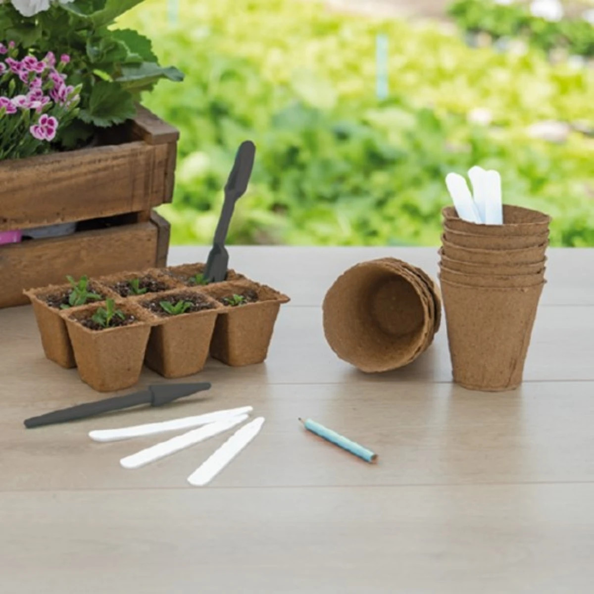 Súprava na prepichovanie sadeníc - SOGO - Pieterpik - pestovateľské pomôcky - 1 ks