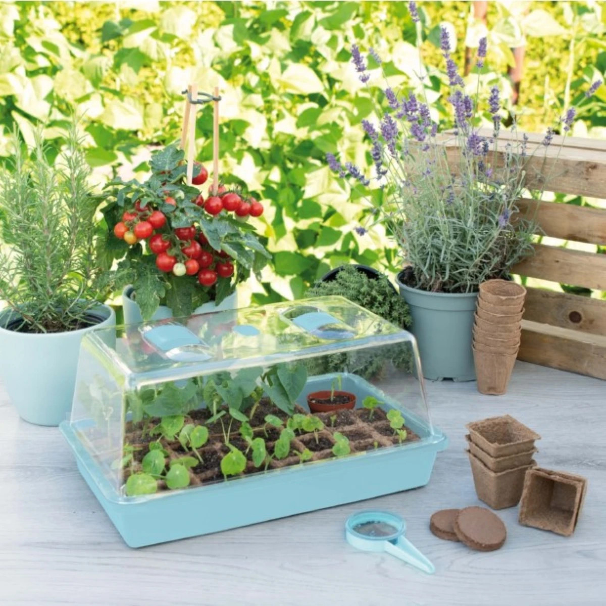 Miniskeník SOGO - 19 x 38 x 24 cm - pestovateľské pomôcky - 1 ks