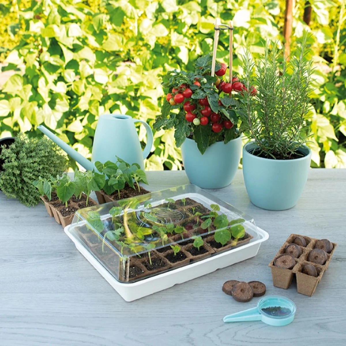 Miniparenisko so sadbovačom SOGO - 8,5 x 32,5 x 26cm - pestovateľské pomôcky - 1 ks