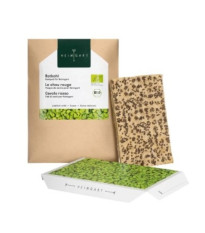 BIO Červená kapusta - mikrozelenina - microgreens - Heimgart - náhradné pláty - 1 ks