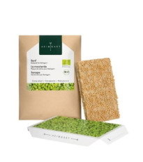 BIO Horčica - mikrozelenina - microgreens - Heimgart - náhradné pláty - 1 ks