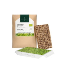 BIO Kaleráb - mikrozelenina - microgreens - Heimgart - náhradné pláty - 1 ks
