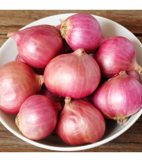 Cibuľa šalotka Camelot F1 - Allium cepa - predaj semien - 50 ks