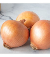 Cibuľa ozimná Augusta - Allium cepa - predaj semien cibule - 250 ks