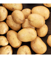 Sadbové zemiaky Princess - Solanum tuberosum - skoré - 5 kg
