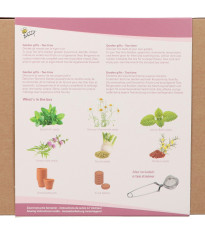 Buzzy Garden Gift - Darčeková súprava Čajová záhradka - Pieterpik - predaj súprav - 1 balenie