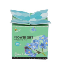 Buzzy Flower Gift - Minisada na pestovanie nezábudky - Pieterpik - predaj sád - 1 ks