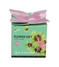 Buzzy Flower Gift - Minisúprava na pestovanie štvorlístka - Pieterpik - predaj sád - 1 ks