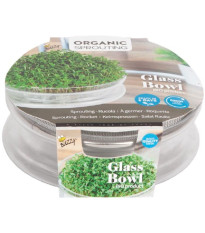 Bio miska na klíčenie rukoly – Buzzy Organic – Pieterpik