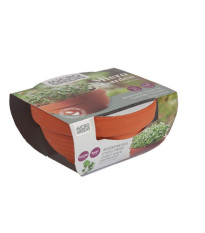 Buzzy Microgreens kučeravý kel v terakotovej miske