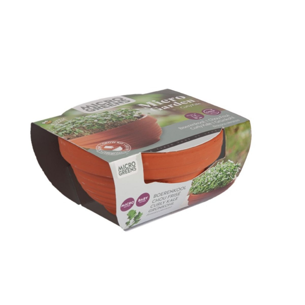 Buzzy Microgreens kučeravý kel v terakotovej miske