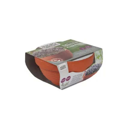 Buzzy Microgreens – Červená mizuna v terakotovej miske