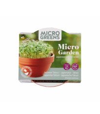 Buzzy Microgreens Tatsoi v terakotovej miske – Pieterpik