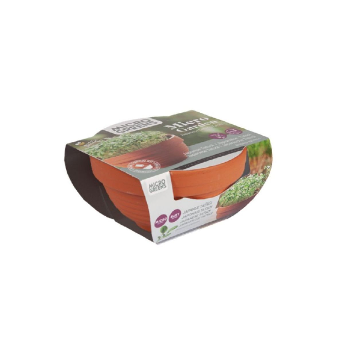 Buzzy Microgreens Tatsoi v terakotovej miske – Pieterpik