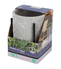 Pestovateľská súprava Aloe Vera s kvetináčom Buzzy