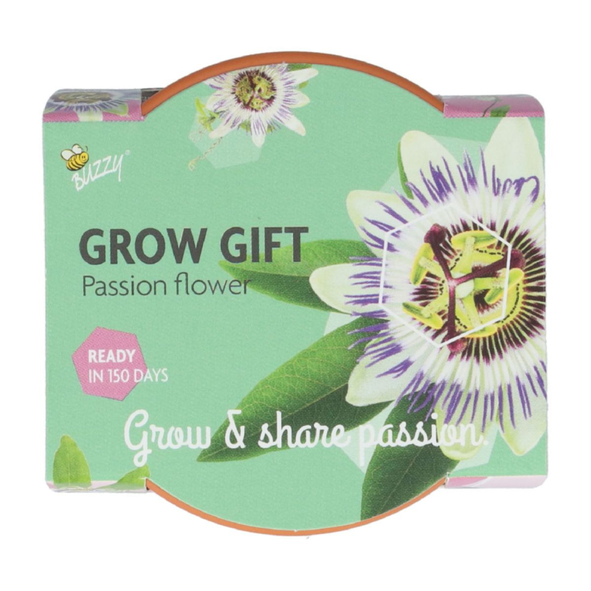 Mučenka v mini pestovateľskej súprave Buzzy Grow Gift