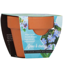 Pestovateľská mini súprava nezábudky – Buzzy Grow Gift