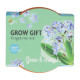 Pestovateľská mini súprava nezábudky – Buzzy Grow Gift