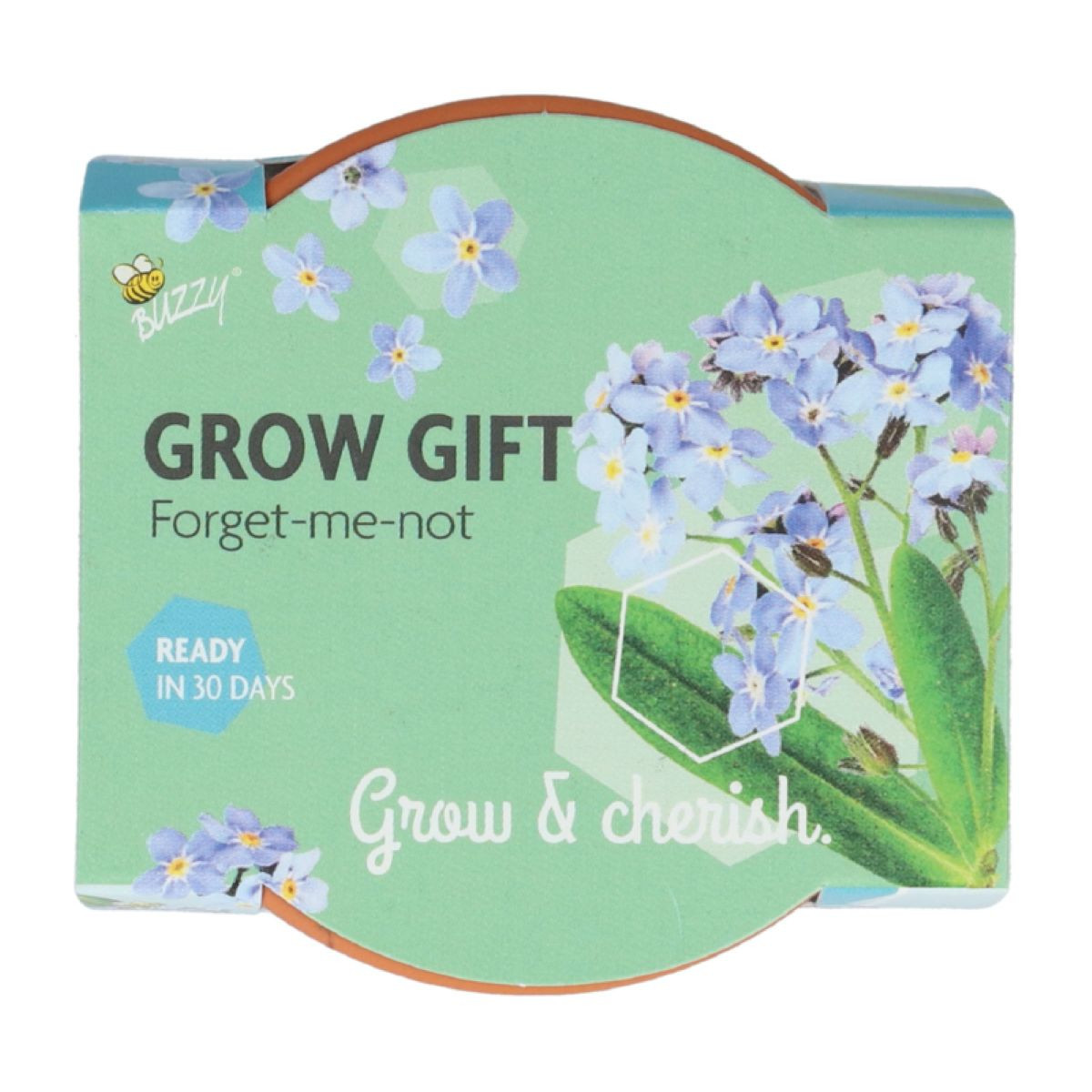 Pestovateľská mini súprava nezábudky – Buzzy Grow Gift