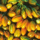 Baklažán pruhovaný - semiačka - 6 ks