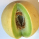 Melón cukrový - semiačka - 5 ks