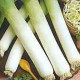 Pór - Genita - Allium porrum - semiačka - 1,5 g