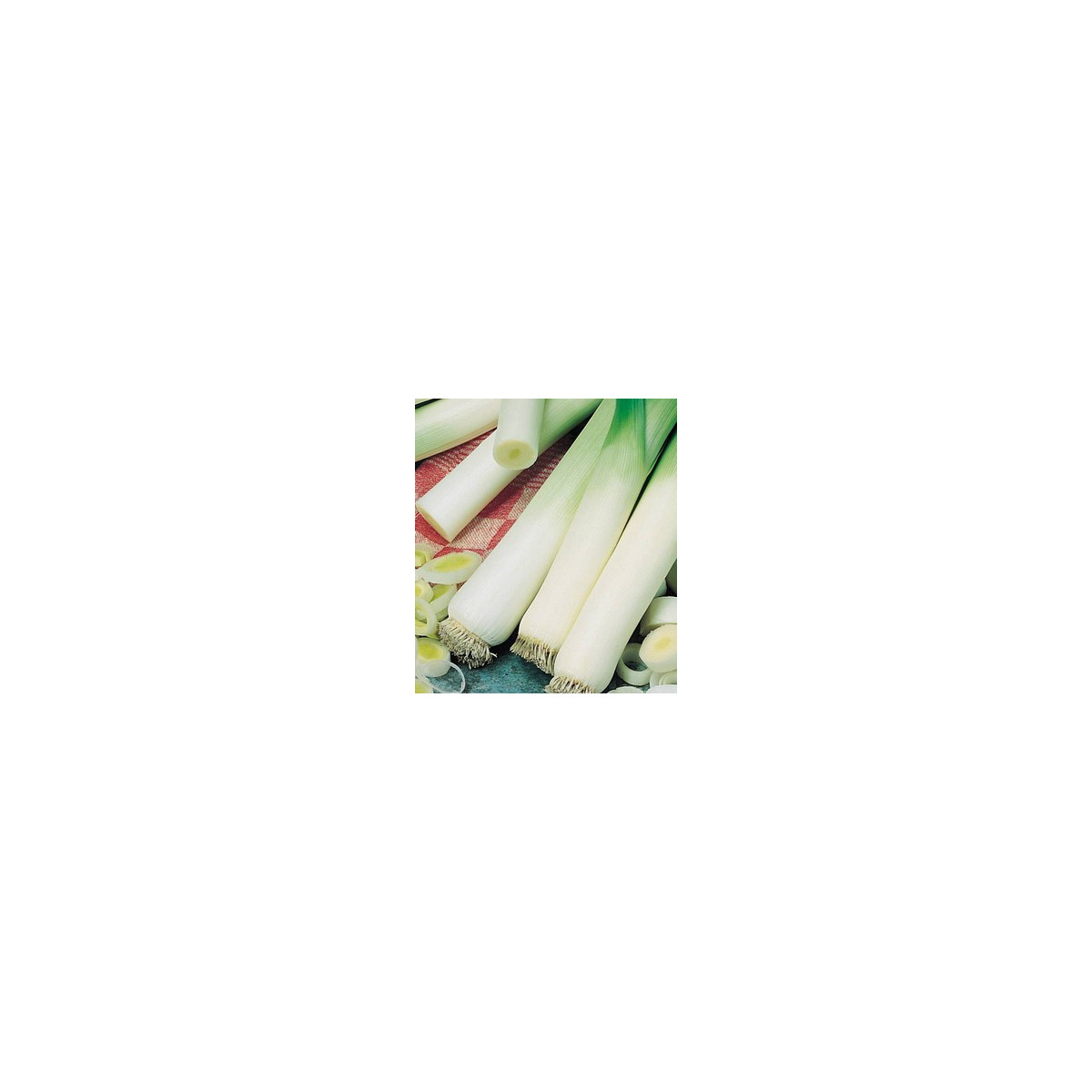 Pór zimný Natan - Allium porrum - semiačka - 1,5 g