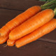 Mrkva Karotina - Daucus carota - semiačka - 900 ks