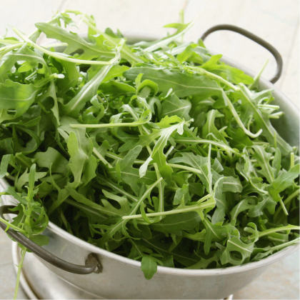 Roketa úzkolistá Grazia - Diplotaxis tenuiflora - semiačka - 20 ks