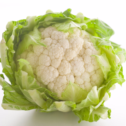 Karfiol skorý Erfurter Zwerg - Brassica oleracea - semiačka - 120 ks