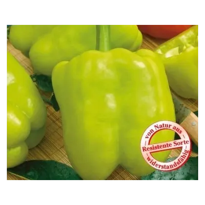 Paprika Monte - Capsicum annuum - semiačka - 5 ks
