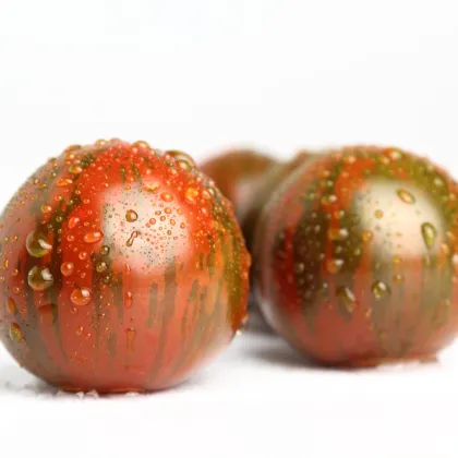 Paradajka Black Zebra - Solanum lycopersicum - Predaj semien rajčiaka - 7 ks