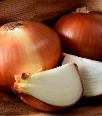 Cibuľa ozimná Hiberna - semená cibuľky - allium cepa - predaj semien - 250 ks