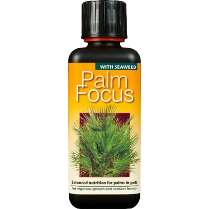 Hnojivo pre palmy - Palm focus - 300 ml