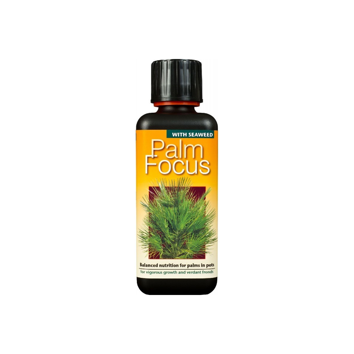 Hnojivo pre palmy - Palm focus - 300 ml