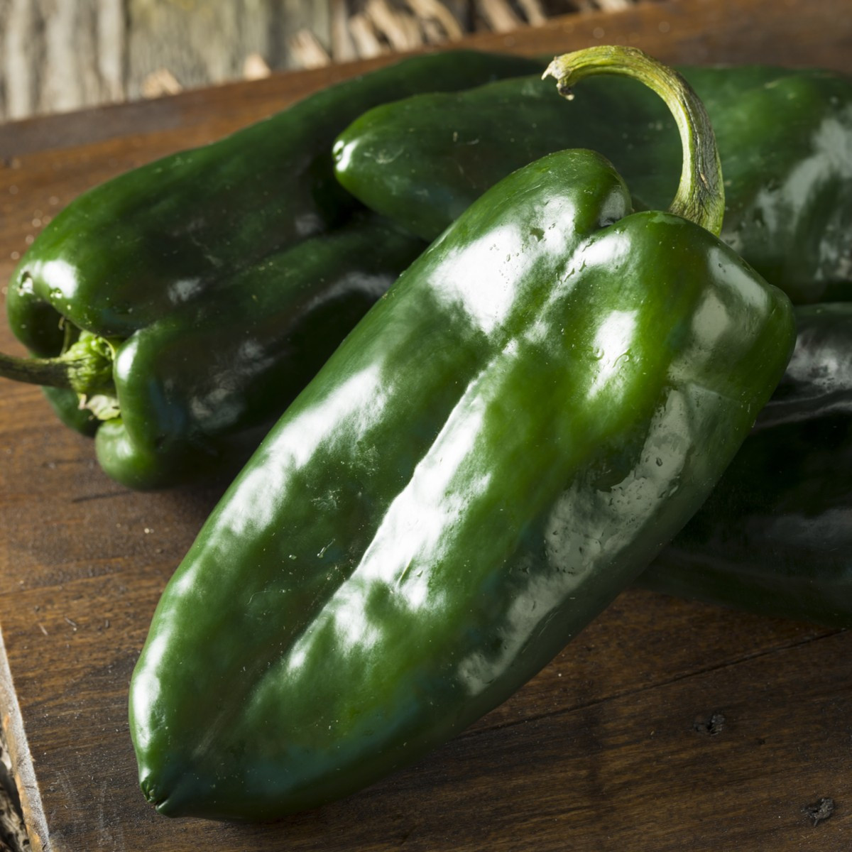 Chilli Poblano - Capsicum chinense - 6 ks