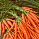Mrkva Rothild - Daucus carota - osivo mrkvy - 900 ks