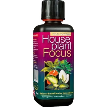 Hnojivo pre izbové rastliny - House plant focus - 300 ml